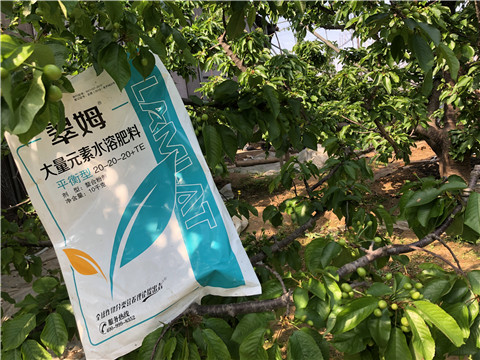 大量元素水溶肥，磷酸二氫鉀，硼肥