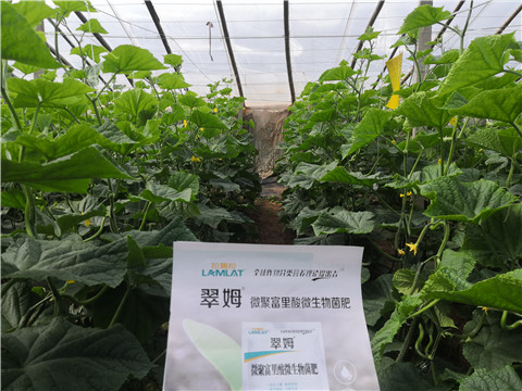 微生物菌劑，拉姆拉