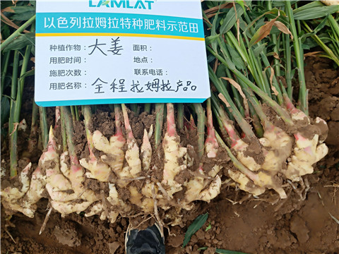 水溶肥，微生物菌劑，拉姆拉