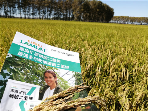 葉面肥，磷酸二氫鉀，安碧解