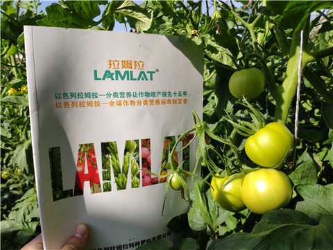 微生物菌劑，拉姆拉，伯示麥