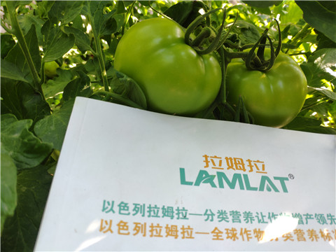 微生物菌劑，拉姆拉，伯示麥