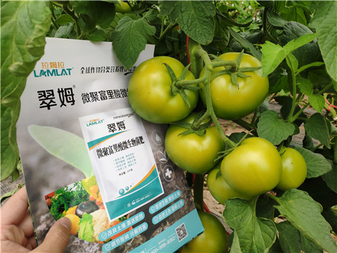 葉面肥，微生物菌劑，磷酸二氫鉀