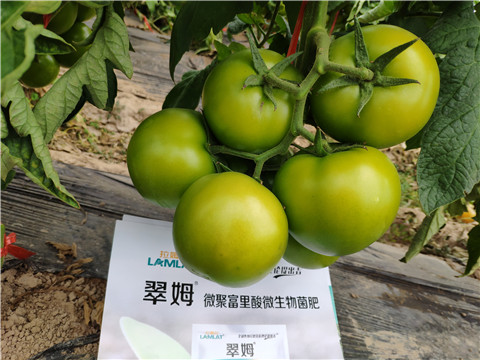 葉面肥，微生物菌劑，磷酸二氫鉀