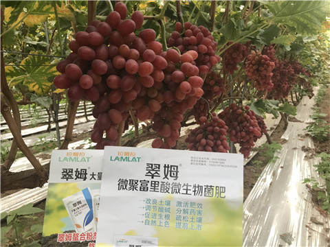 微生物菌劑，硼肥，鈣肥