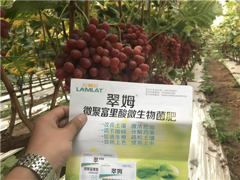 微生物菌劑，硼肥，鈣肥