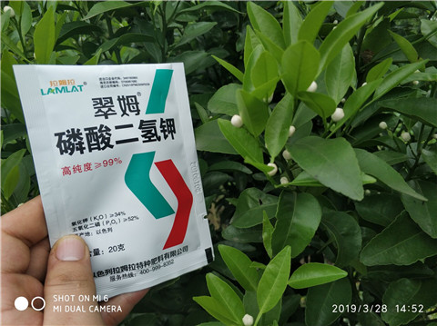 磷酸二氫鉀，硼肥，拉姆拉