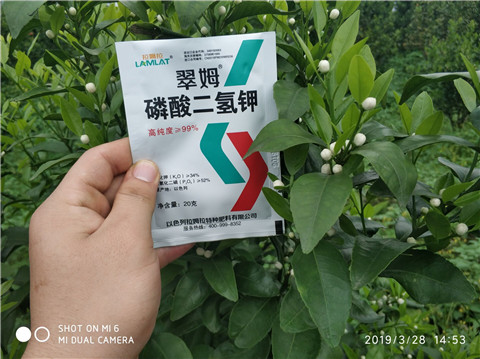 磷酸二氫鉀，硼肥，拉姆拉