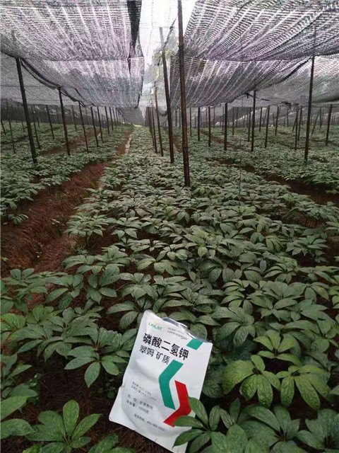 磷酸二氫鉀，安碧解，