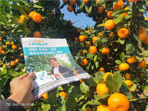 磷酸二氫鉀，硼肥，拉姆拉