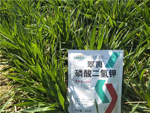 磷酸二氫鉀，葉面肥，拉姆拉