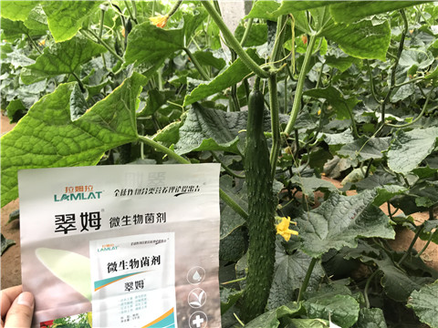 微生物菌劑，水溶肥，拉姆拉
