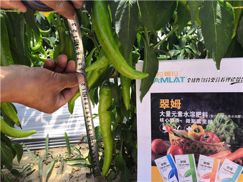 微生物菌劑，復(fù)合肥料，拉姆拉