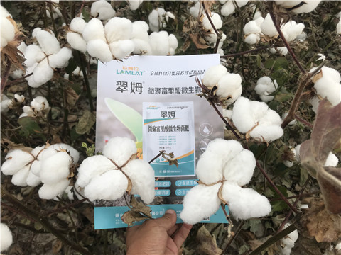 微生物菌劑，根碧多，拉姆拉