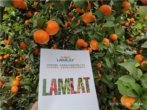 硼肥，拉姆拉