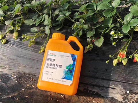 根碧多，微生物菌劑，拉姆拉