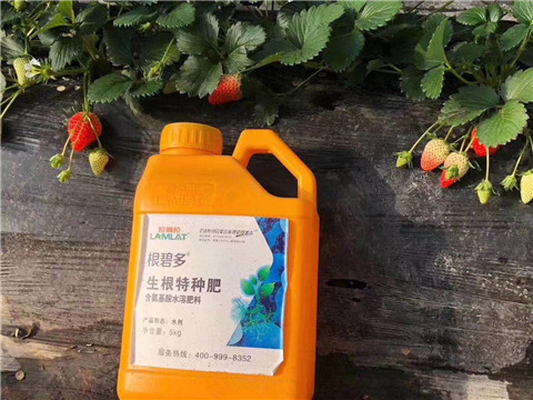 根碧多，微生物菌劑，拉姆拉