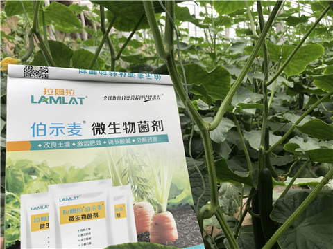 微生物菌劑，生根劑，拉姆拉