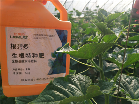 根碧多，磷酸二氫鉀，拉姆拉