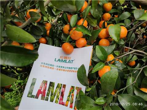 大量元素水溶肥，拉姆拉