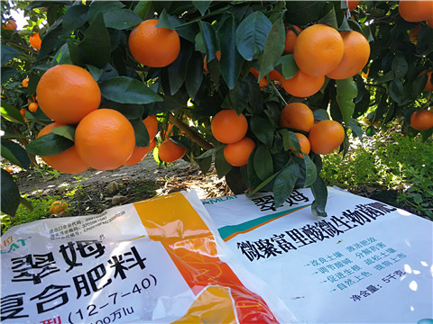 水溶肥，拉姆拉