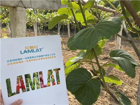 大量元素水溶肥，拉姆拉