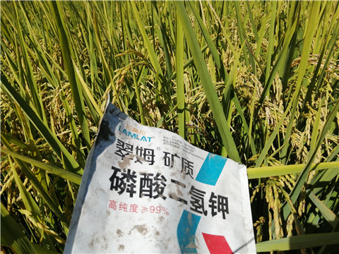 磷酸二氫鉀，翠姆，拉姆拉