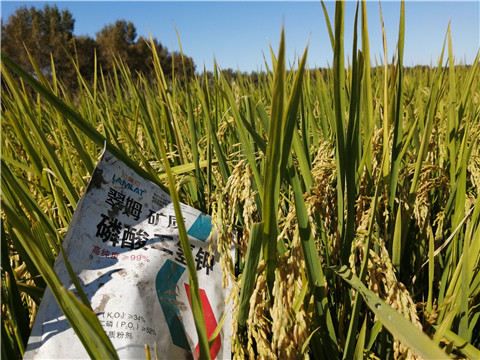 磷酸二氫鉀，翠姆，拉姆拉