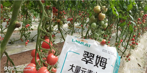 水溶肥，翠姆，拉姆拉