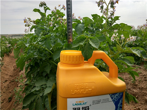 水溶肥，翠姆，拉姆拉