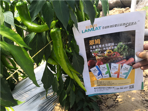 復(fù)合肥料，拉姆拉