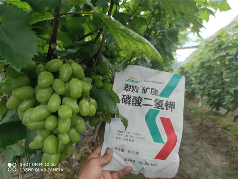 磷酸二氫鉀，拉姆拉