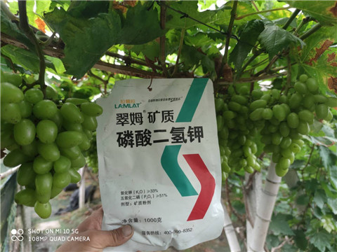 磷酸二氫鉀，拉姆拉