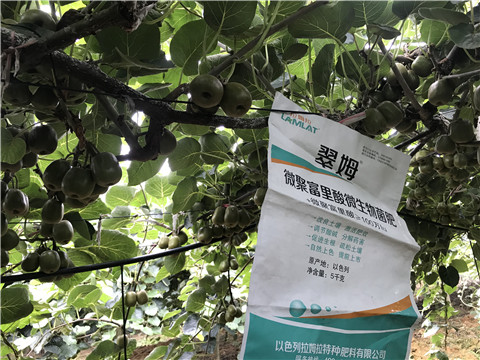 微生物菌劑，翠姆，拉姆拉