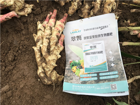 微生物菌劑，翠姆，拉姆拉