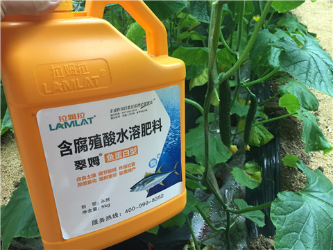 生根劑，魚(yú)蛋白水溶肥，拉姆拉