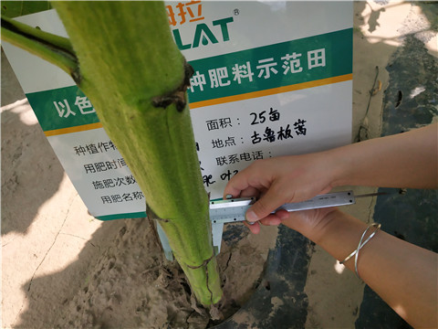 水溶肥，微生物菌劑，拉姆拉