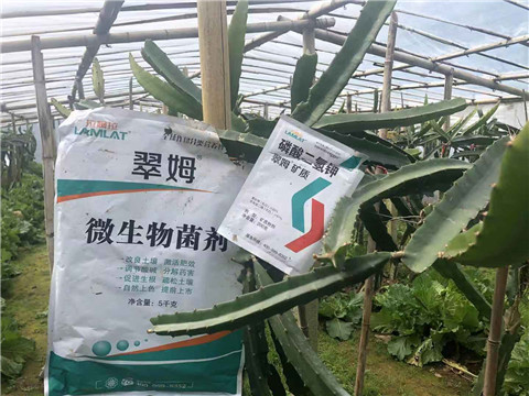 磷酸二氫鉀，翠姆，拉姆拉