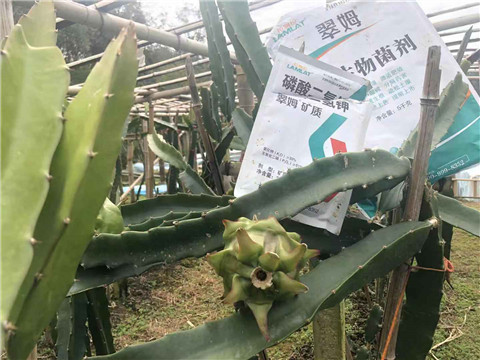 磷酸二氫鉀，翠姆，拉姆拉