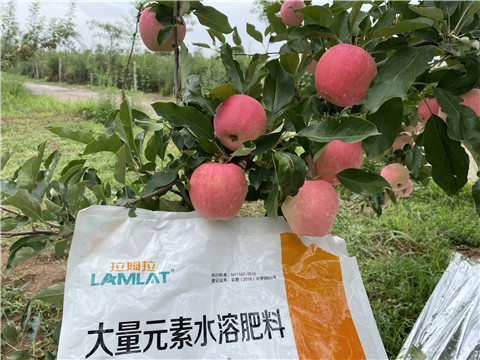 水溶肥，翠姆，拉姆拉