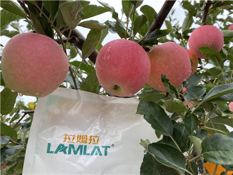 水溶肥，翠姆，拉姆拉