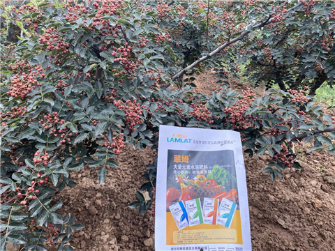 花椒種植，大量元素水溶肥，翠姆