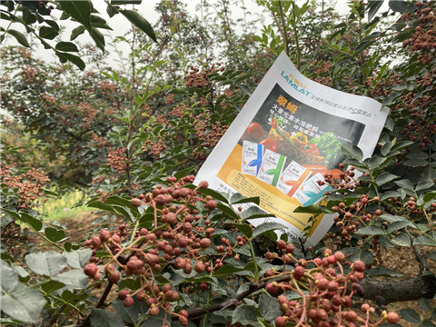 花椒種植，大量元素水溶肥，翠姆