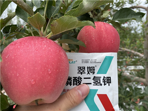 高鉀水溶肥，磷酸二氫鉀，拉姆拉，翠姆