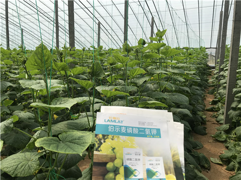 水溶肥，拉姆拉