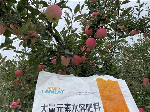 進(jìn)口水溶肥品牌，拉姆拉，翠姆