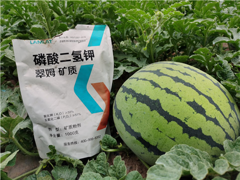 進(jìn)口水溶肥，翠姆，拉姆拉