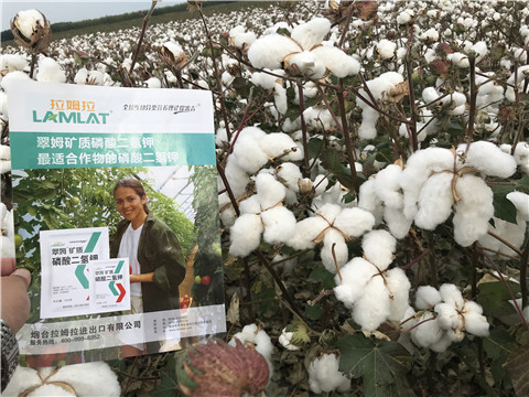 進(jìn)口水溶肥，翠姆，拉姆拉