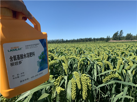 磷酸二氫鉀，拉姆拉，翠姆