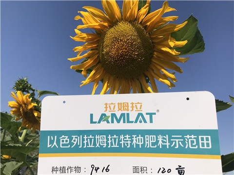 進(jìn)口水溶肥，拉姆拉